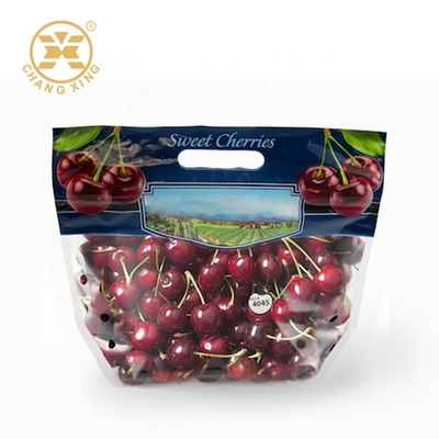 100g 500g Túi đóng gói trái cây khô có lỗ Cherry tươi đứng lên Túi thân thiện với môi trường